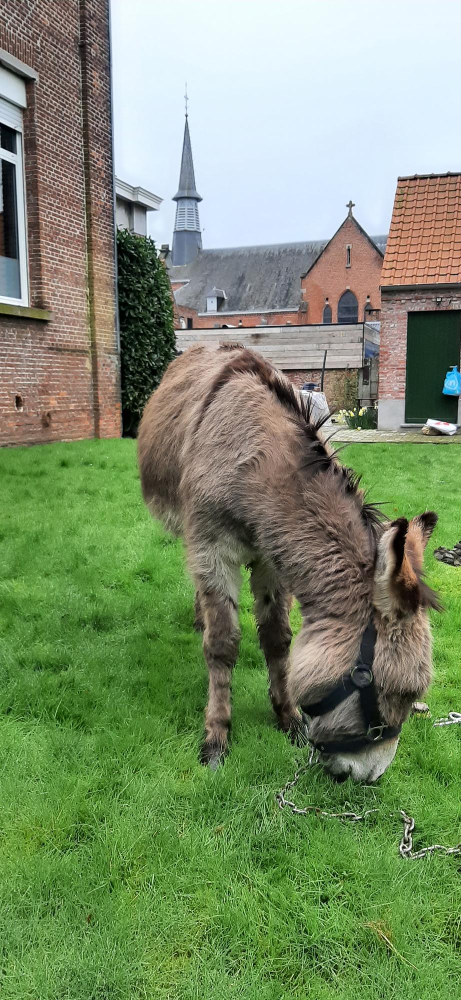 Zo was Palmzondag 2 april 2023